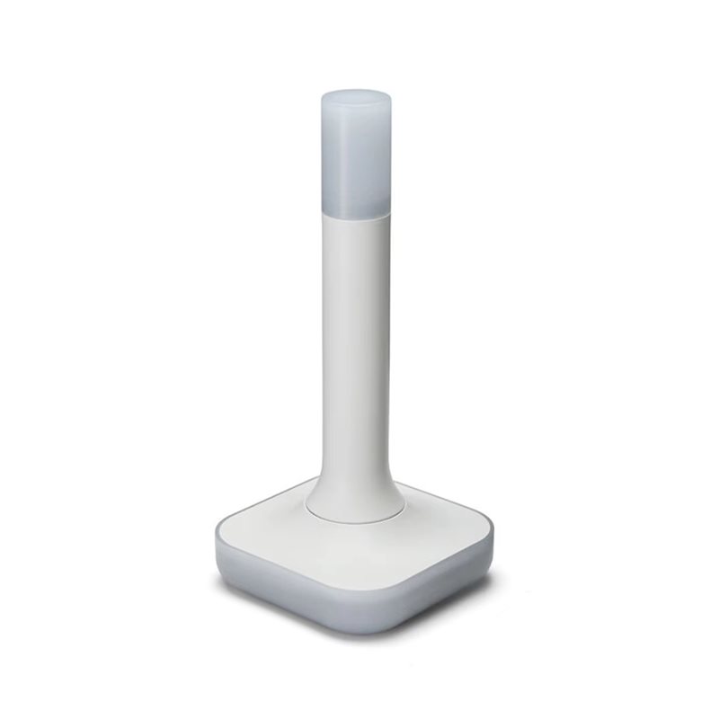 Asistente de hogar Connect ZBT - Matter Hub Thread reseña y precio